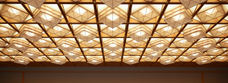 VOX Ceiling & Facade